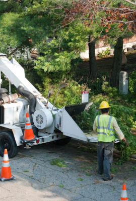 tree-trimming