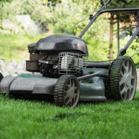 The Farming Season