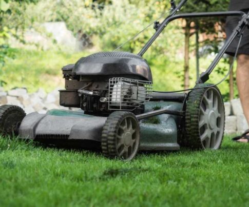 The Farming Season