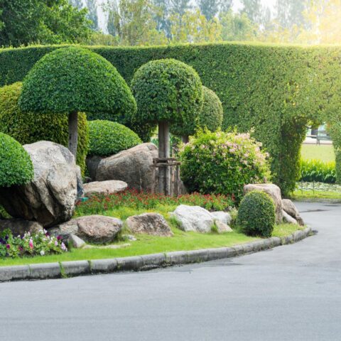 Family Garden