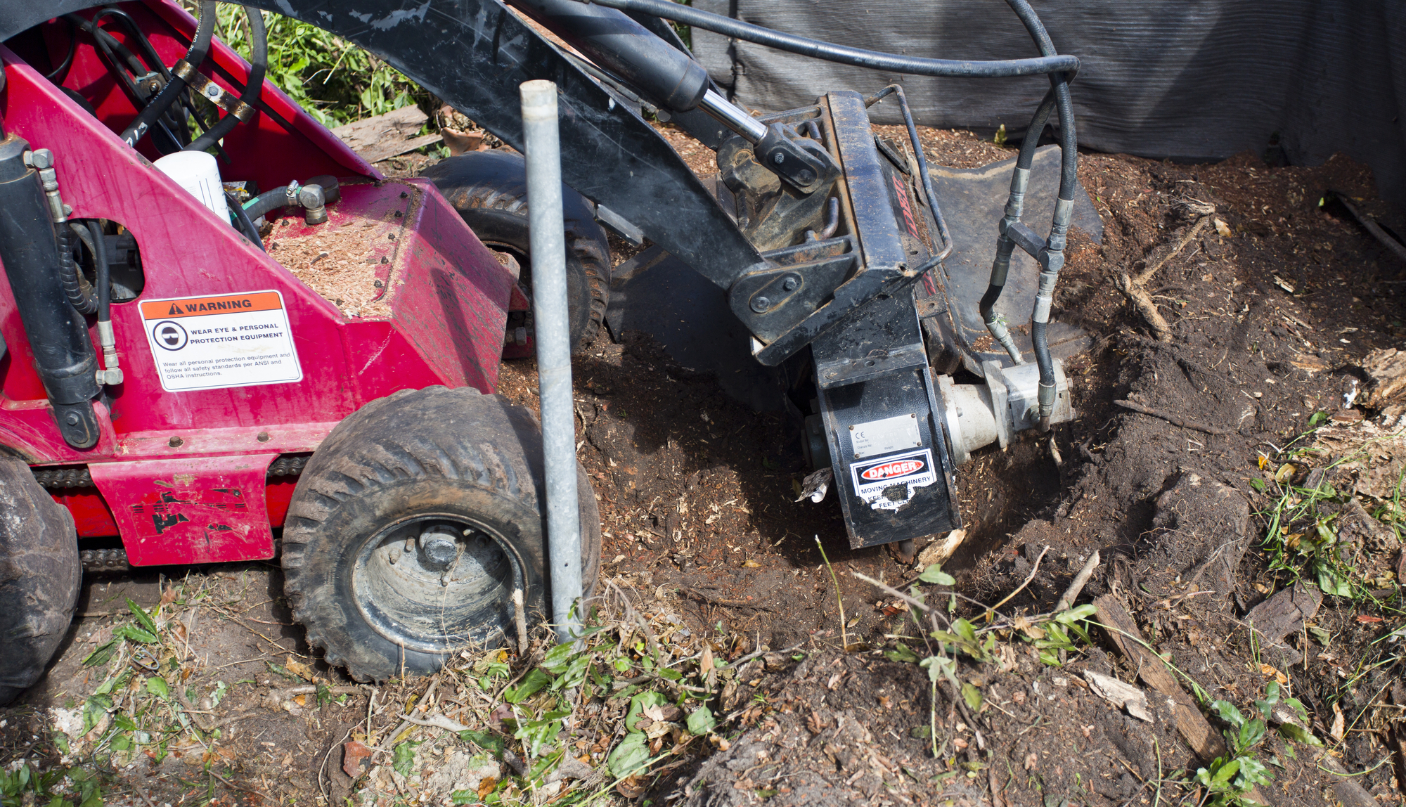 Stump grinding and removal service in Fullerton CA